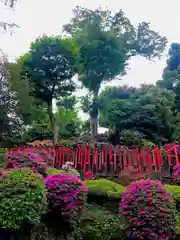 根津神社の自然