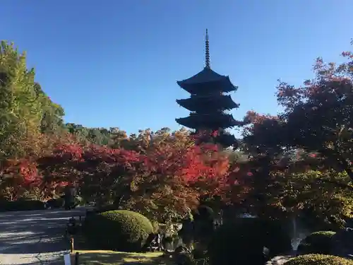 東寺（教王護国寺）の庭園