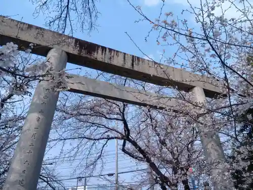 酒見神社の御朱印