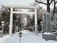 新琴似神社の鳥居