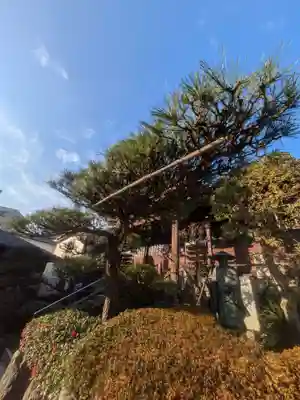 金相寺(東京都)