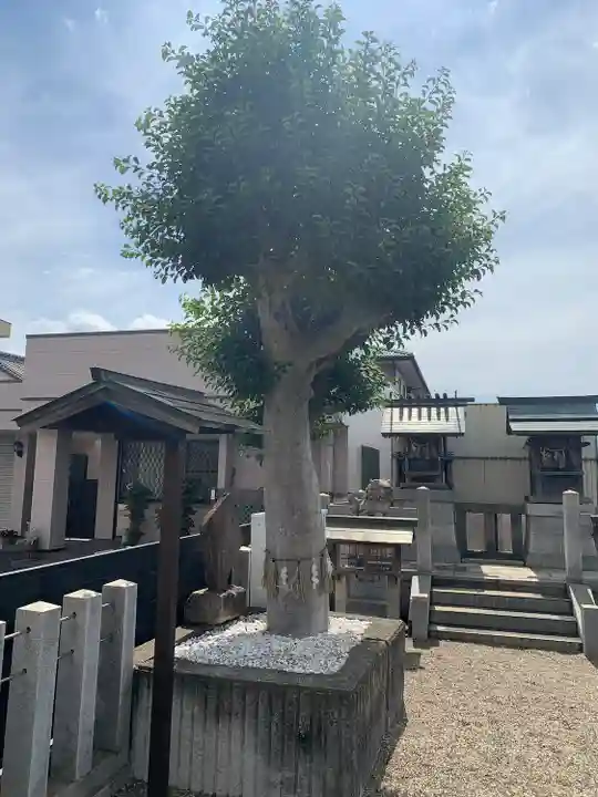 駅前神社(愛知県)