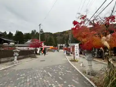 諏訪大社(長野県)