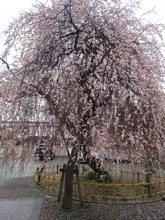宗仲寺(神奈川県)