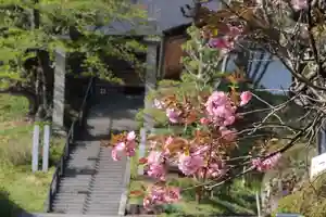 国宝 大法寺(長野県)(2023年04月20日(木) 07時09分53秒投稿)