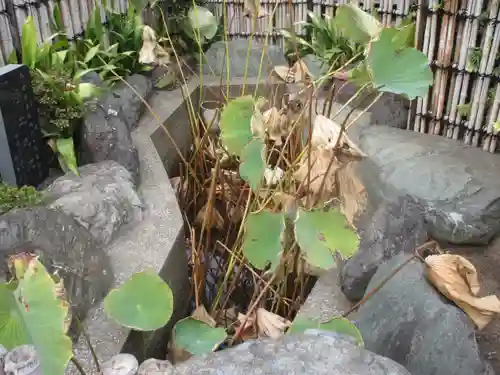 了正寺(神奈川県)