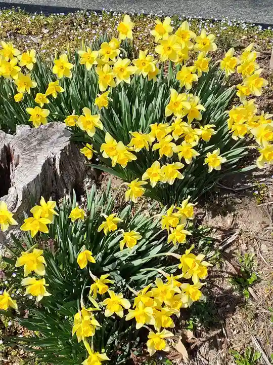 菅原神社(岩手県)