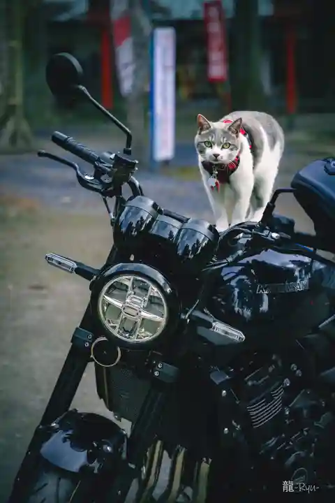 正一位 若草稲荷神社(宮城県)