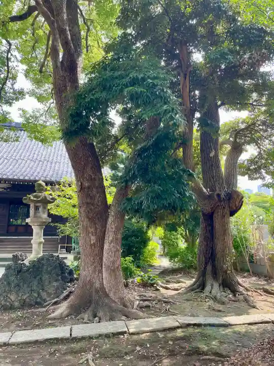 長福寺(神奈川県)