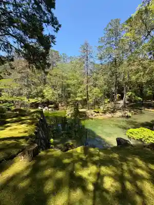 西芳寺の{uncategorized: "未分類", other: "その他", undefined: "問題あり", building: "その他建物", grave: "お墓", sacred_gate: "鳥居", guardian: "狛犬", statue: "像", buddha: "仏像", history: "歴史", nature: "自然", garden: "庭園", animal: "動物", pagoda: "塔", temizu: "手水舎", mountain_gate: "山門・神門", sanctuary: "本殿・本堂", subordinate: "末社・摂社", art: "芸術", scenery: "景色", jizo: "地蔵", ema: "絵馬", goshuin: "御朱印", omikuji: "おみくじ", items: "授与品その他", amulet: "お守り", goshuincho: "御朱印帳", eats: "食事", festival: "お祭り", votive_dance: "神楽", shichigosan: "七五三参", wedding: "結婚式", experience: "体験その他", initially: "初詣", around: "周辺", anti_infection: "感染症対策"}
