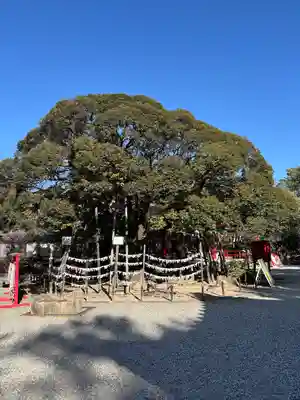 市原稲荷神社(愛知県)