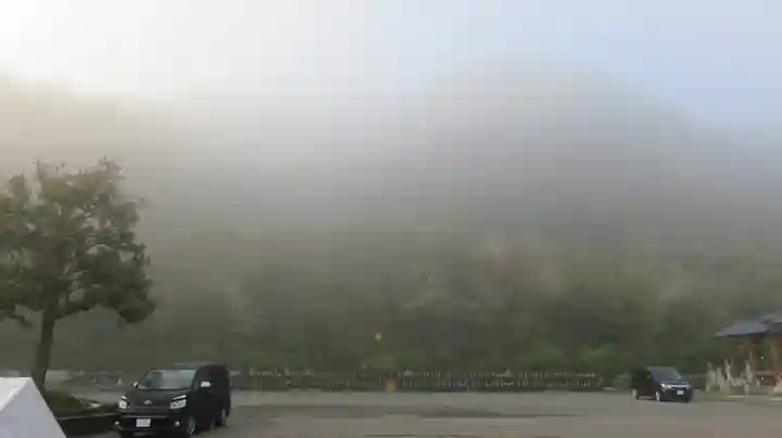 御誕生寺(猫寺)の動物