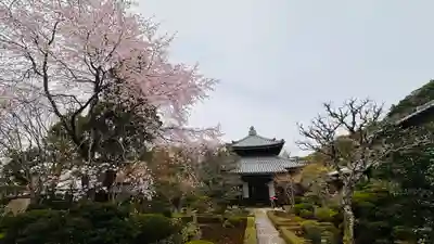 安楽寺(京都府)
