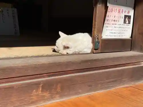 宝寿院(愛知県)