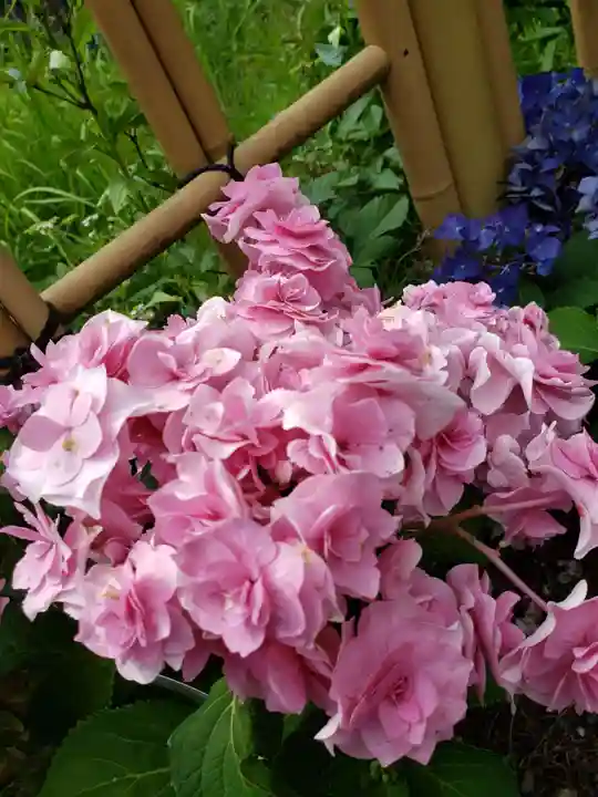 白金氷川神社(東京都)