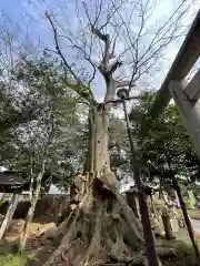 沓掛香取神社(茨城県)