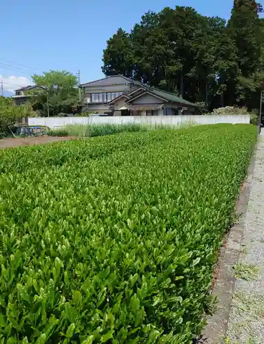 浅間神社(静岡県)