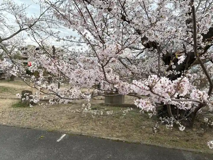 兵庫縣神戸護國神社(兵庫県)