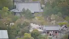 仁和寺の景色