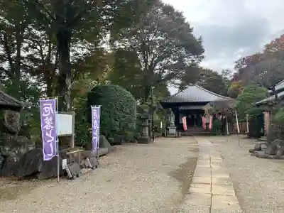 観音寺(埼玉県)