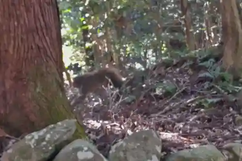 西明寺(滋賀県)