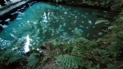 八重垣神社(島根県)