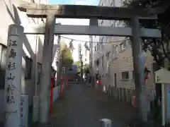 江島杉山神社の鳥居