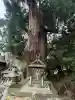 八坂神社(京都府)