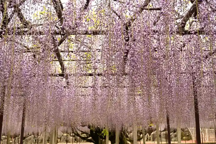 長泉寺(埼玉県)