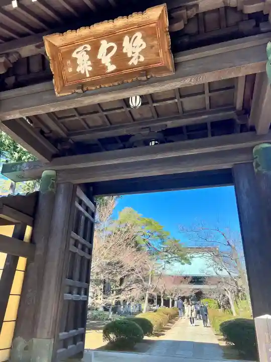 豪徳寺(東京都)