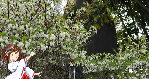 上平井天祖神社の自然