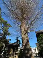 大乘院(千葉県)