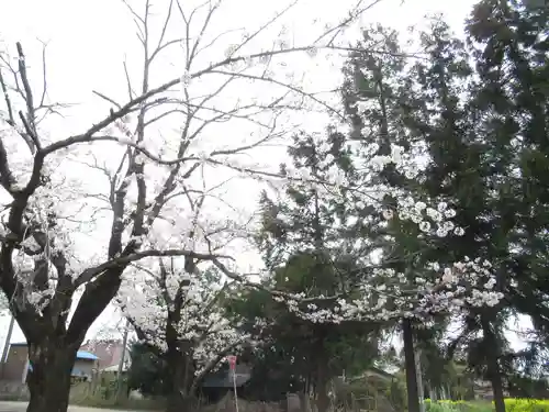 伏木香取神社(茨城県)