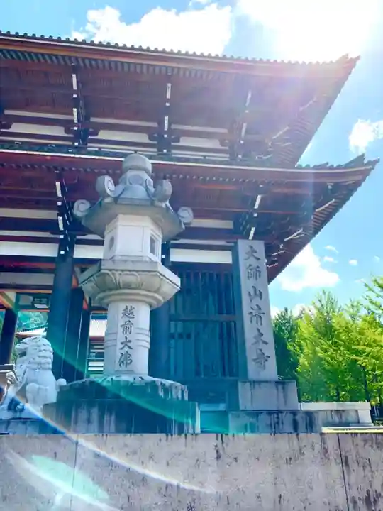 清大寺(越前大仏)の山門・神門