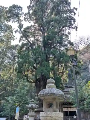 若狭姫神社（若狭彦神社下社）の{uncategorized: "未分類", other: "その他", undefined: "問題あり", building: "その他建物", grave: "お墓", sacred_gate: "鳥居", guardian: "狛犬", statue: "像", buddha: "仏像", history: "歴史", nature: "自然", garden: "庭園", animal: "動物", pagoda: "塔", temizu: "手水舎", mountain_gate: "山門・神門", sanctuary: "本殿・本堂", subordinate: "末社・摂社", art: "芸術", scenery: "景色", jizo: "地蔵", ema: "絵馬", goshuin: "御朱印", omikuji: "おみくじ", items: "授与品その他", amulet: "お守り", goshuincho: "御朱印帳", eats: "食事", festival: "お祭り", votive_dance: "神楽", shichigosan: "七五三参", wedding: "結婚式", experience: "体験その他", initially: "初詣", around: "周辺", anti_infection: "感染症対策"}
