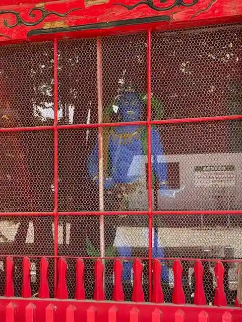 龍蔵寺(青柳大師)(群馬県)