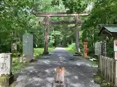 戸隠神社奥社(長野県)