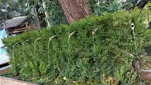賀茂御祖神社（下鴨神社）の手水舎