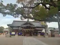 百舌鳥八幡宮(大阪府)