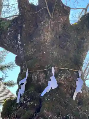 熊野皇大神社(長野県)