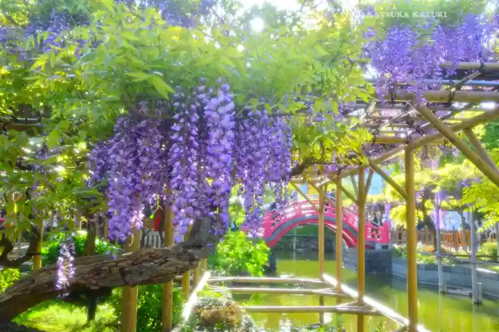 亀戸天神社(東京都)