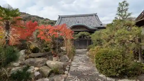 西向寺(京都府)