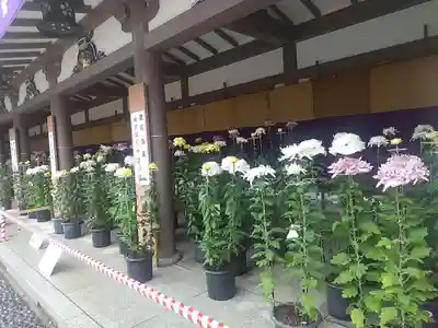 湯島天満宮(東京都)