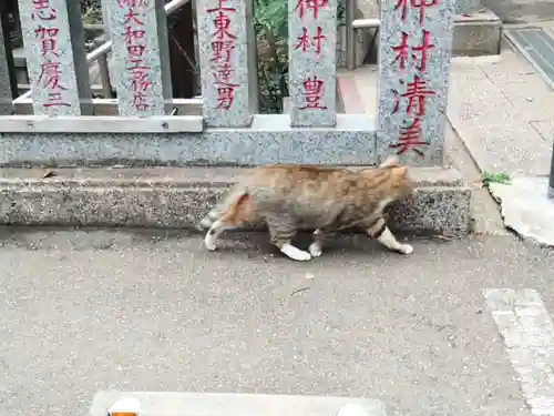前原御嶽神社の動物