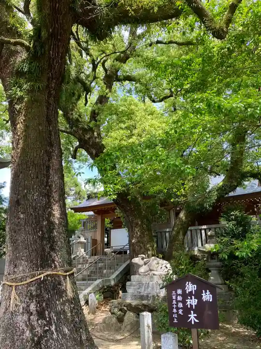 加納天満宮の自然