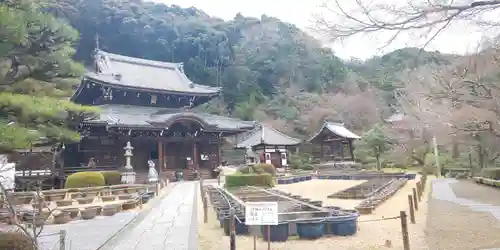 三室戸寺の庭園