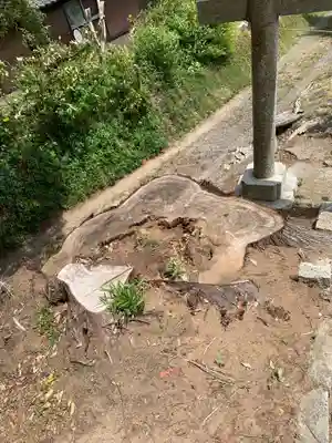 十二所神社(千葉県)