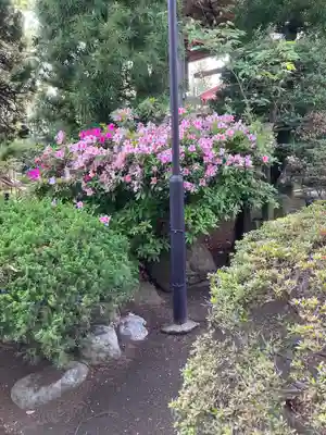 寶珠寺（宝珠寺）(神奈川県)