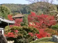 高台寺（高台寿聖禅寺・高臺寺）(京都府)