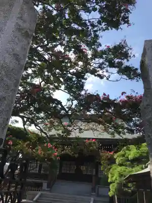 長松寺の本殿・本堂
